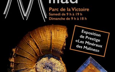 48ème Bourse Exposition Internationale Minéraux et Fossiles