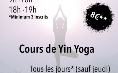 Cours de Yoga Vinyasa et cours de Yin Yoga